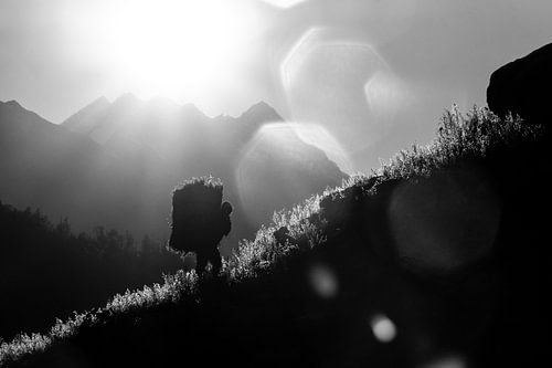 Des travailleurs acharnés au Népal soulèvent de lourdes balles de foin