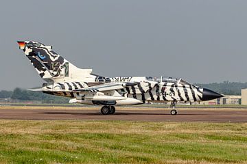 Arctic Tiger gespot! van Jaap van den Berg