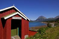Rote Scheune an einem der Fjorde in Norwegen von Coos Photography Miniaturansicht