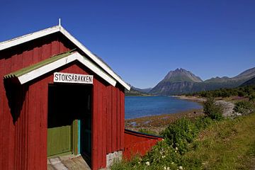 Rode schuur aan een van de fjorden in Noorwegen van Coos Photography