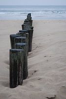 Strand van Ameland