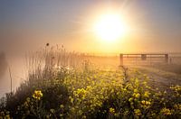 Zonsopgang op de Polders van Dreumel