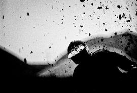 Crosser von Pieter Boon