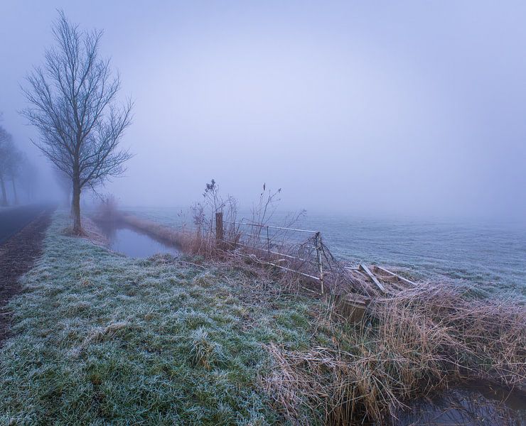 Zaun zwischen Heerhugowaard und Oterleek im Nebel von peterheinspictures