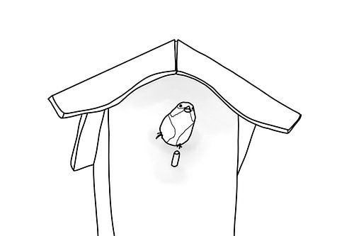 Kohlmeise im Vogelhaus