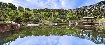 Panorama van de Mejiro Tuin weerspiegeld in het water.