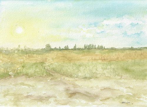 Zonsondergang aan de Deense Oostzeekust