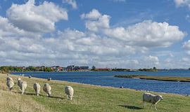 Blick auf den Urlaubsort Lemkenhafen von Peter Eckert