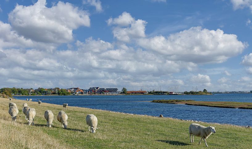 Vue du centre de vacances Lemkenhafen par Peter Eckert