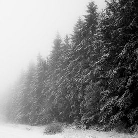 'WINTER', bomen in de mist. Zwart-wit fotografie. van Femke den Hollander