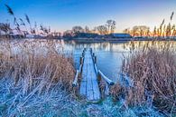 holländische Winterlandschaft von Eelco de Jong Miniaturansicht