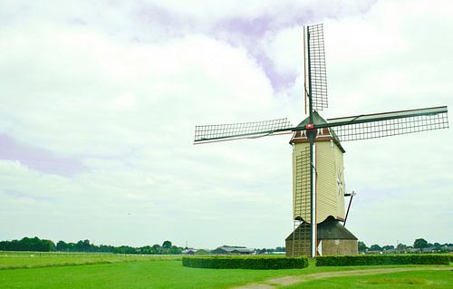 Molen