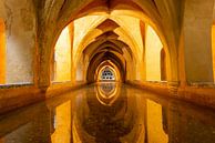 Bathhouse of Maria de Padilla by Jaco Verheul thumbnail
