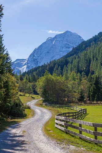 Verschneiter Berg Habicht