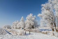 Winter in Zwingelspaan Moerdijk