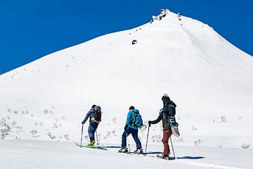 Ski touren in Japan van Hidde Hageman