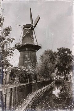 Mühle Rijn en Zon