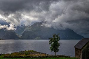 Blick über einen Fjord