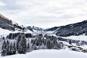 Winter Landschap van Daisy Gilyamse