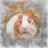 Artistic Animal Guinea Pig 2 von Angelika Möthrath