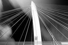 Prince Claus Bridge by M. van Oostrum