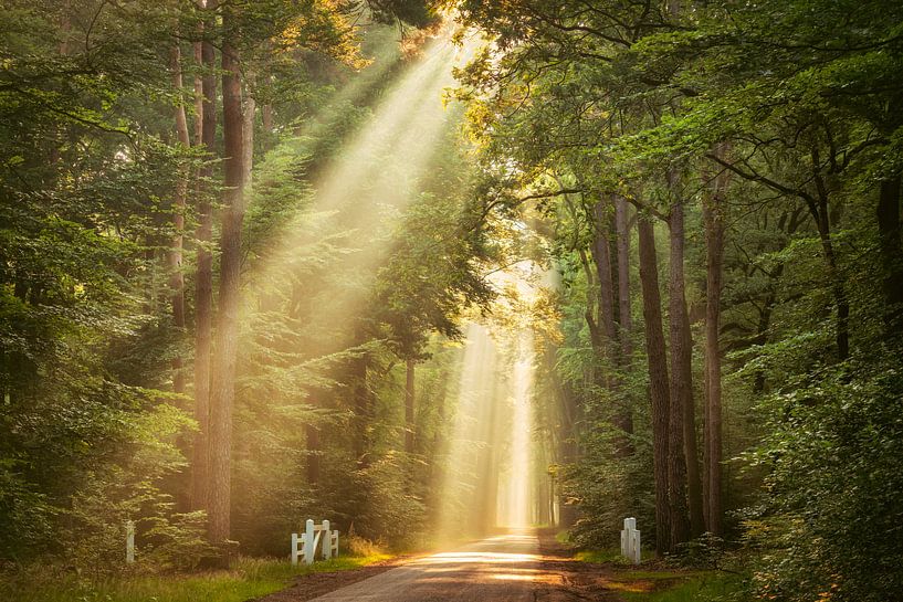 Landgoed Velhorst van Lars van de Goor