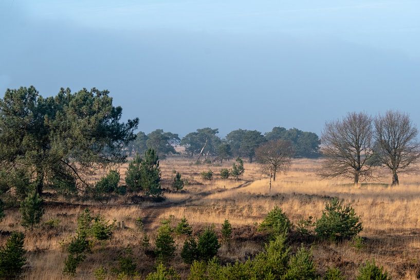 Border Park Kalmthoutse Heide by Bruno Hermans