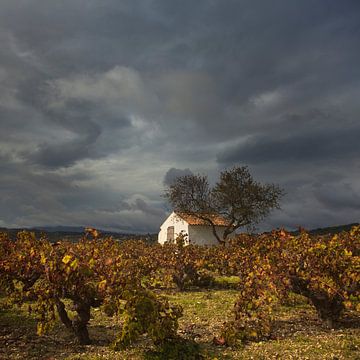 Spain landscape by Peter Bolman