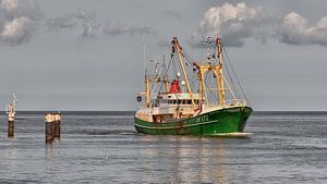 Urker vissersschip UK 172