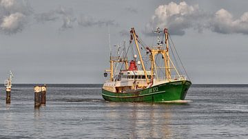 Urker vissersschip UK 172 by Roel Ovinge