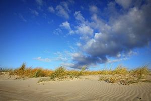 Herbstdünen van Ostsee Bilder