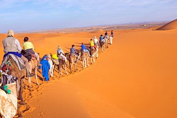 Kamelen karavaan door de zandduinen van de Sahara desert von Eye on You