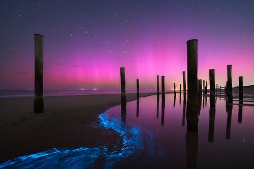 Midnight Glow by Jeroen Lagerwerf