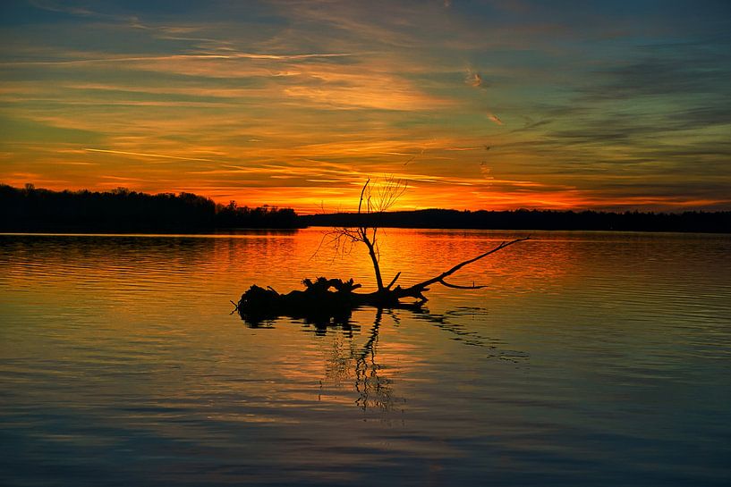 View of the Wannsee in Berlin. This place is called the big window. A recreation point in the metrop by Martin Köbsch