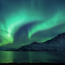 Nordlicht im Norden Norwegens von Jasper den Boer