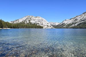 lac