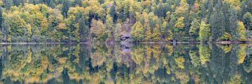 Meer van Freiberg in de herfst van Walter G. Allgöwer