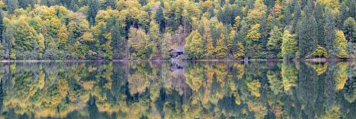 Meer van Freiberg in de herfst