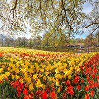 Keukenhof