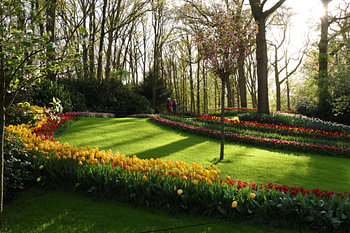 Gouden uur in de Keukenhof