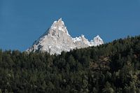 Aiguille rocheuse sur les sapins