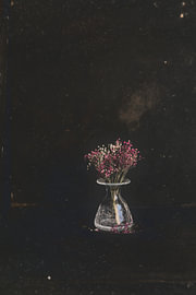 gypsophile sur Augen | Blicke Foto-Art