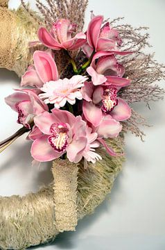 Roze orchideeën 