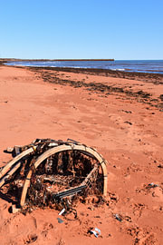 Blick auf den Strand im Sommer von Claude Laprise