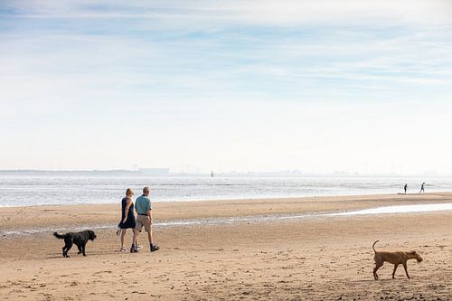 Wandelaars op het strand