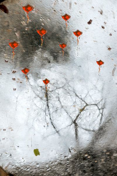 Roses d'IJssel par Sandra van de Griendt - Fibre Art