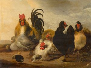 Haan en kippen in een landschap - Melchior d'Hondecoeter