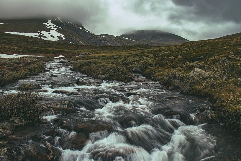 Raues Dovrefjell von Fynn Seidel