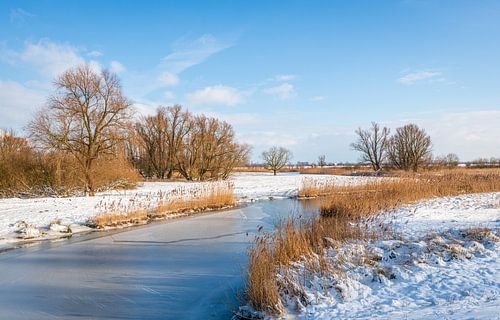 Nederlands winterlandschap met een bevroren kreek