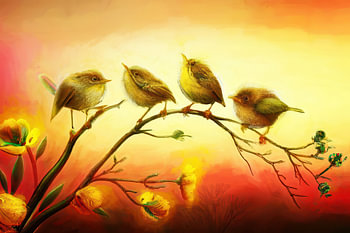 Vroege vogels